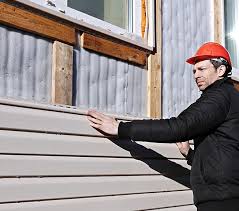 Best Insulated Siding Installation  in Burwell, NE